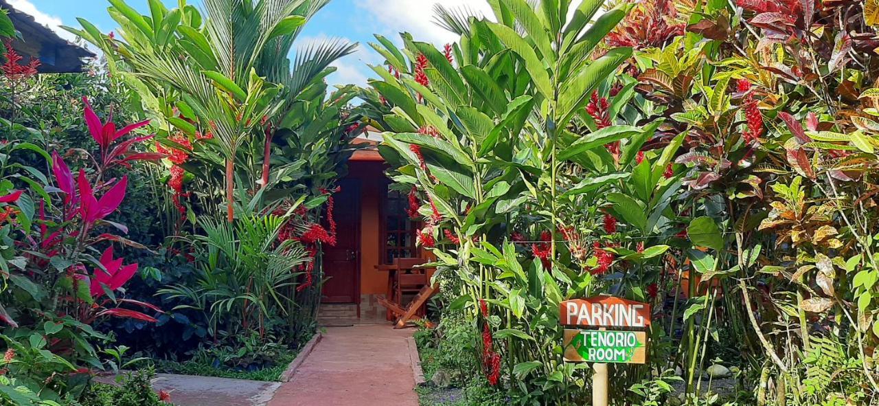 Bed and Breakfast Jardin entre Montañas Bijagua Exterior foto