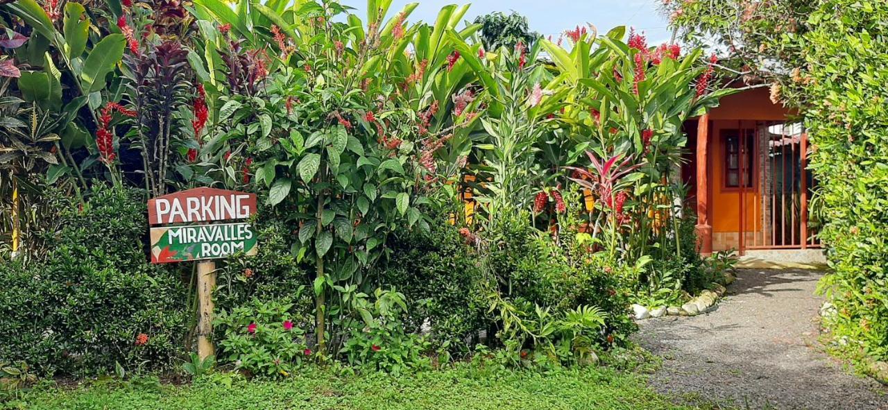 Bed and Breakfast Jardin entre Montañas Bijagua Exterior foto
