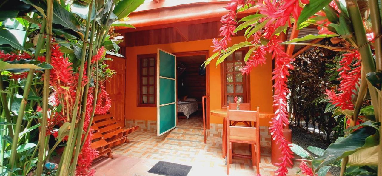 Bed and Breakfast Jardin entre Montañas Bijagua Exterior foto