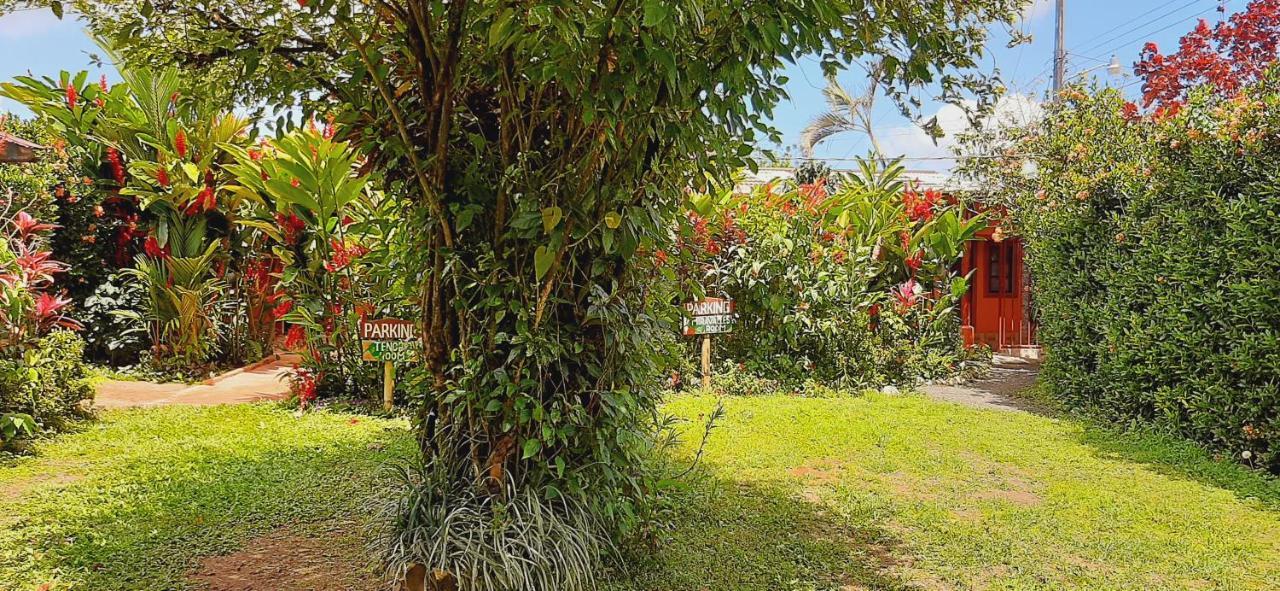 Bed and Breakfast Jardin entre Montañas Bijagua Exterior foto