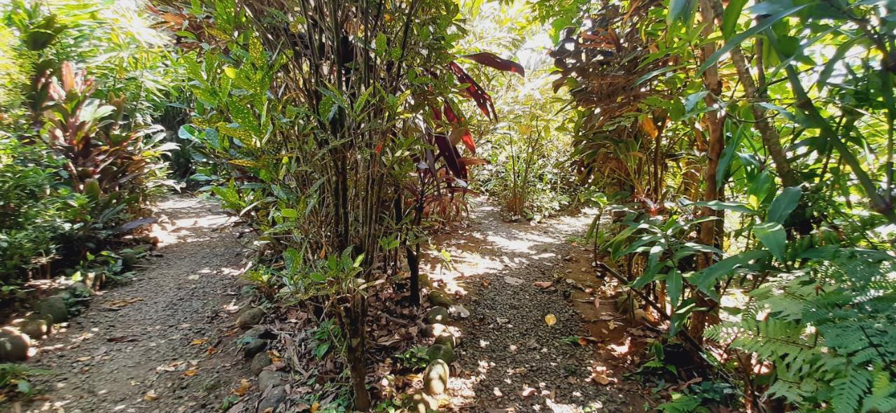 Bed and Breakfast Jardin entre Montañas Bijagua Exterior foto